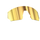 Lens preview